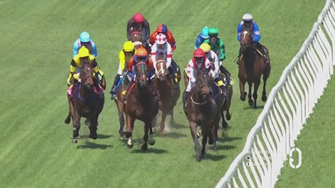 Hollywoodbets Durbanville SA 13 Sep 2025 Race 3