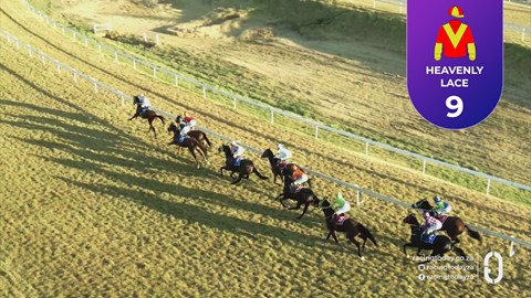 Turffontein SA 14 Jun 2026 Race 8