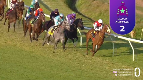 Hollywoodbets Durbanville SA 06 Sep 2026 Race 9