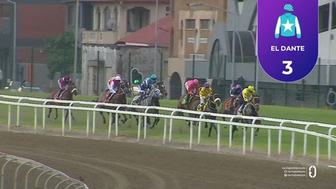 Hollywoodbets Greyville SA 05 Dec 2025 Race 5
