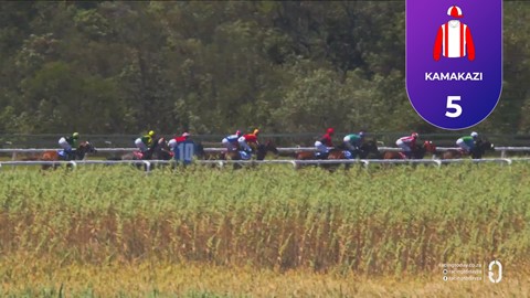 Fairview SA 23 Jan 2026 Race 4