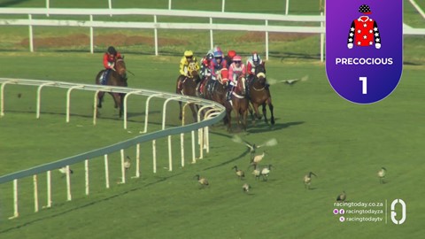 Turffontein SA 12 Sep 2026 Race 7