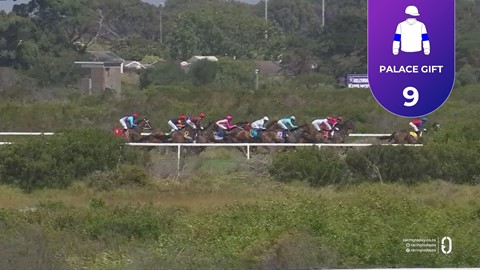 Hollywoodbets Kenilworth SA 24 Dec 2025 Race 6