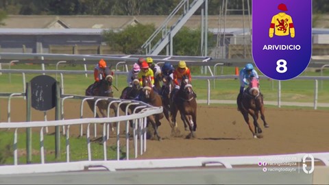 Fairview SA 09 Oct 2026 Race 5
