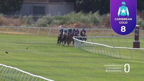 Hollywoodbets Durbanville SA 14 Feb 2026 Race 6