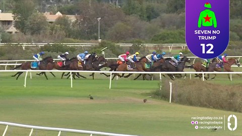 Hollywoodbets Kenilworth SA 22 Feb 2026 Race 10