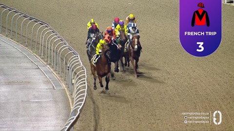 Hollywoodbets Greyville SA 16 Oct 2026 Race 7
