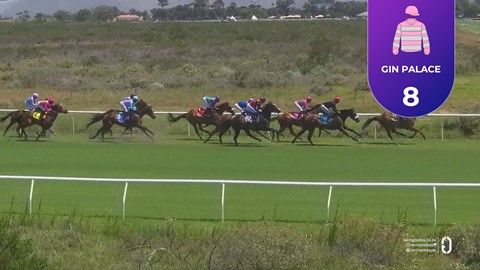 Hollywoodbets Kenilworth SA 26 Nov 2025 Race 3