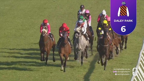Hollywoodbets Durbanville SA 07 Oct 2026 Race 8