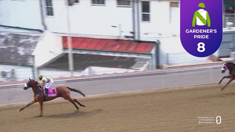 Hollywoodbets Greyville SA 28 Nov 2025 Race 5