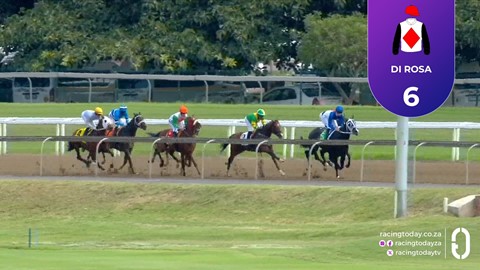 Hollywoodbets Greyville SA 12 Nov 2025 Race 3