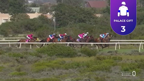 Hollywoodbets Kenilworth SA 15 Nov 2025 Race 7