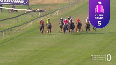 Hollywoodbets Scottsville SA 13 Sep 2026 Race 6