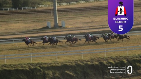 Turffontein SA 11 Jun 2026 Race 8
