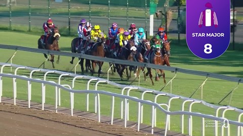 Hollywoodbets Greyville SA 02 May 2026 Race 7