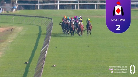 Hollywoodbets Scottsville SA 28 Jun 2026 Race 4