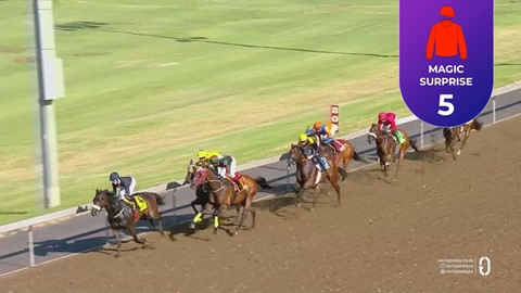 Hollywoodbets Greyville SA 28 Jan 2026 Race 7