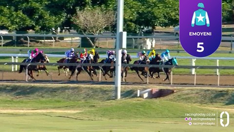 Hollywoodbets Greyville SA 01 Aug 2025 Race 1