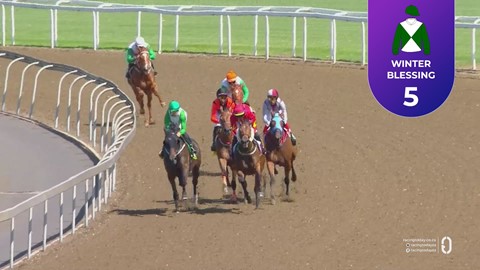 Hollywoodbets Greyville SA 08 Apr 2026 Race 2