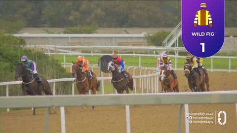 Fairview SA 02 Oct 2026 Race 8