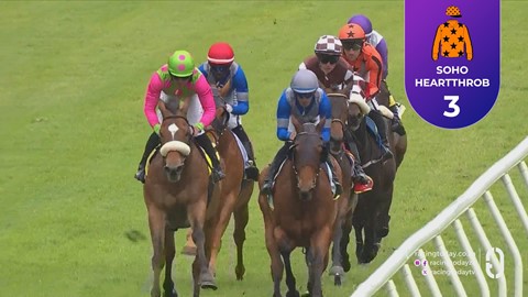 Hollywoodbets Durbanville SA 21 Oct 2026 Race 5
