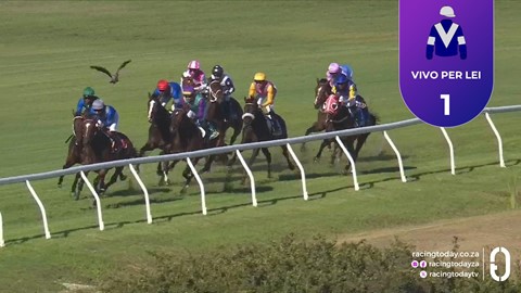 Hollywoodbets Durbanville SA 04 Mar 2026 Race 8