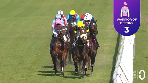 Hollywoodbets Kenilworth SA 12 Aug 2026 Race 4