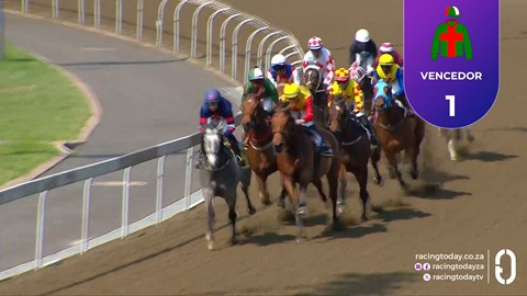 Hollywoodbets Greyville SA 24 Sep 2026 Race 2