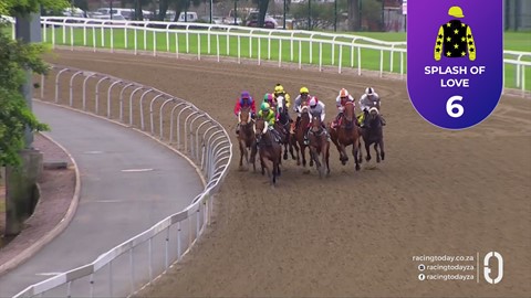 Hollywoodbets Greyville SA 20 Sep 2026 Race 8