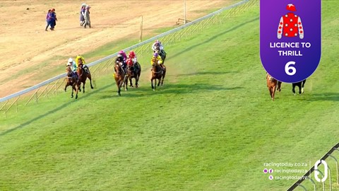 Hollywoodbets Scottsville SA 31 Aug 2025 Race 7
