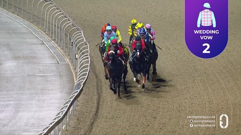 Hollywoodbets Greyville SA 16 Oct 2026 Race 8