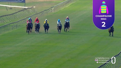 Hollywoodbets Scottsville SA 13 Sep 2026 Race 2