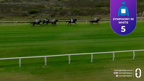 Hollywoodbets Kenilworth SA 06 Apr 2026 Race 2
