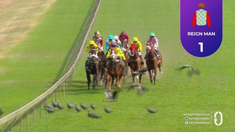 Hollywoodbets Scottsville SA 30 Aug 2026 Race 3