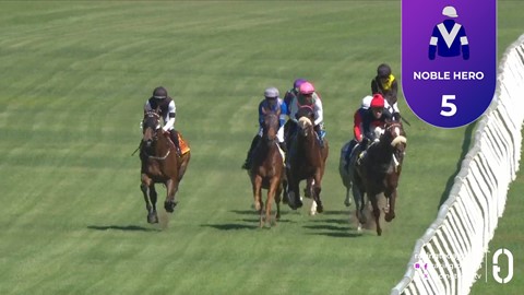 Hollywoodbets Durbanville SA 11 Feb 2026 Race 5