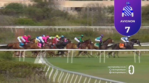 Hollywoodbets Kenilworth SA 25 Feb 2026 Race 7