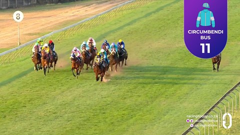 Hollywoodbets Scottsville SA 31 Aug 2025 Race 8