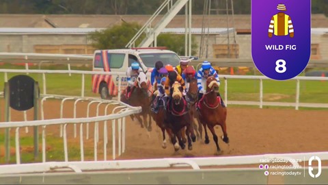 Fairview SA 17 Jul 2026 Race 4