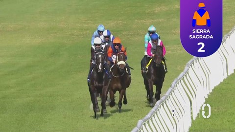 Hollywoodbets Kenilworth SA 29 Jul 2025 Race 3