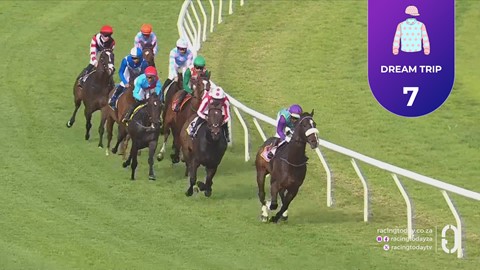 Hollywoodbets Durbanville SA 21 Oct 2026 Race 7