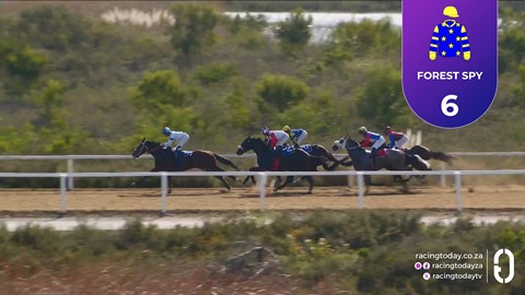Fairview SA 22 May 2026 Race 4