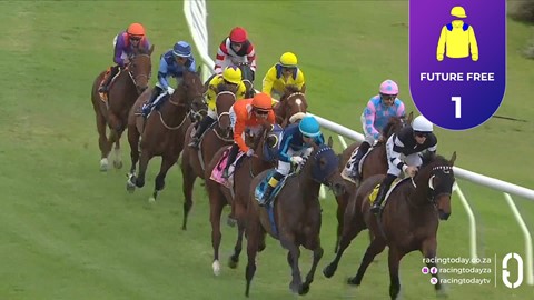 Hollywoodbets Kenilworth SA 15 Apr 2026 Race 8