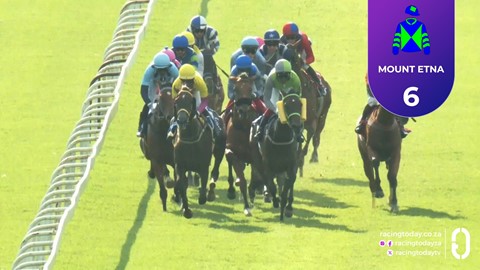 Turffontein SA 19 Feb 2026 Race 8
