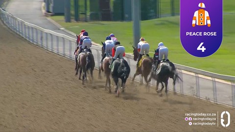 Hollywoodbets Greyville SA 24 Sep 2026 Race 3