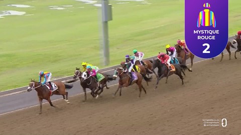 Hollywoodbets Greyville SA 16 Nov 2025 Race 8
