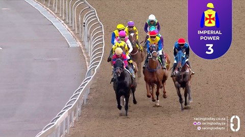 Hollywoodbets Greyville SA 12 Nov 2025 Race 8