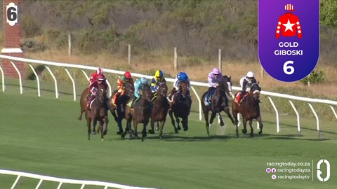 Hollywoodbets Kenilworth SA 03 Dec 2025 Race 8