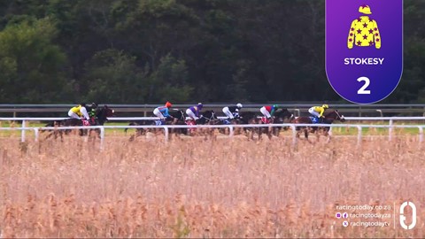 Fairview SA 26 Jun 2026 Race 6