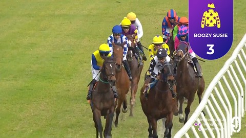 Hollywoodbets Durbanville SA 22 Aug 2026 Race 8