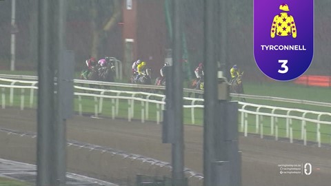 Hollywoodbets Greyville SA 24 Apr 2026 Race 8